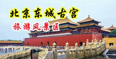 人妖的大鸡巴把日本小姐操的逼直流淫水中国北京-东城古宫旅游风景区
